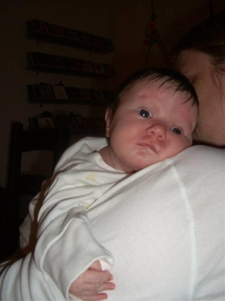 Prinsesse Sofie - 4 uger gammel billede 6