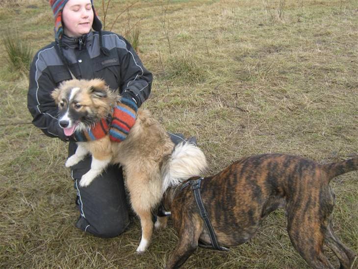 {{currentPhoto.altText}} billede {{currentPhoto.number}}