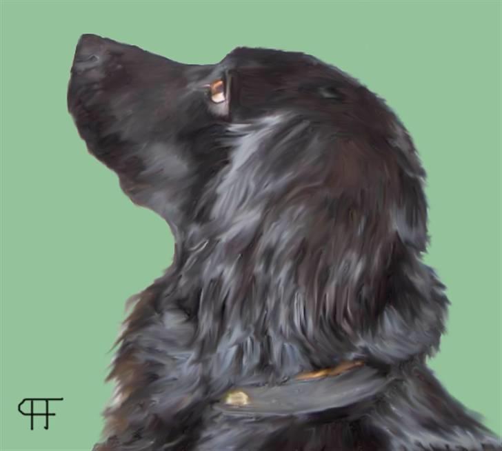 Tegninger af andres hunde - Blanding af racer Lady. billede 251