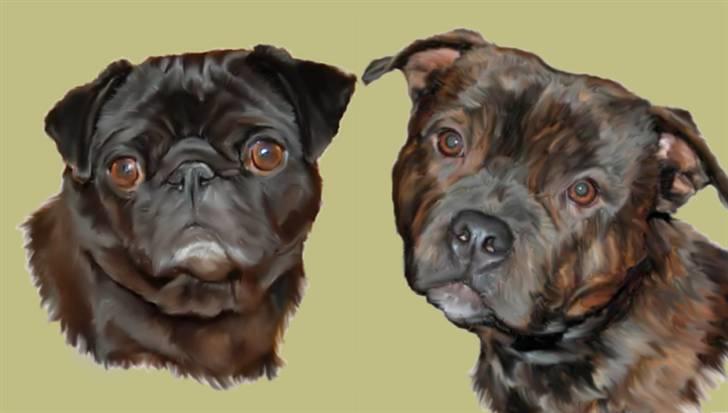 Tegninger af andres hunde billede 255