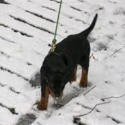 Esther 
