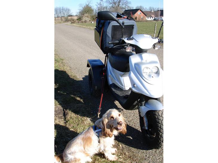 {{currentPhoto.altText}} billede {{currentPhoto.number}}