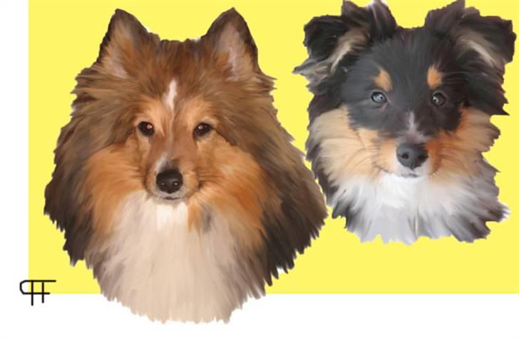 Tegninger af andres hunde billede 259
