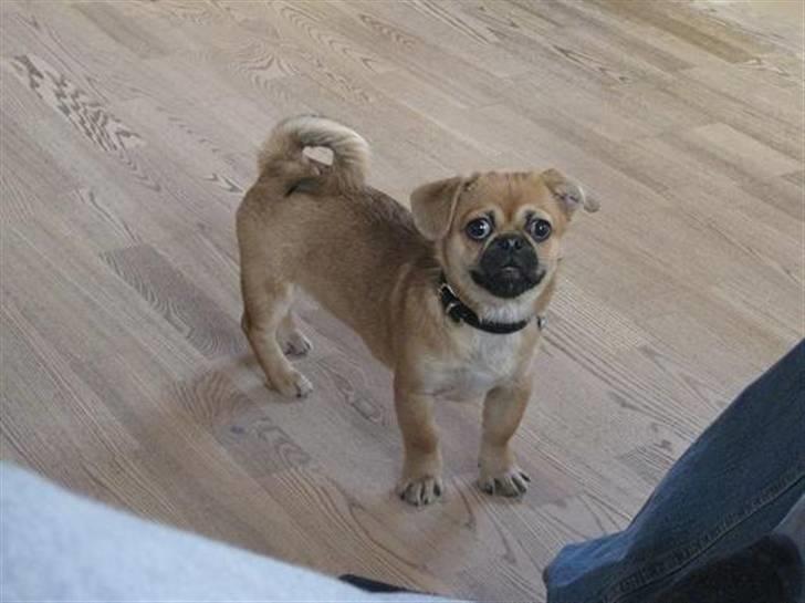 Blandet billder  billede 4