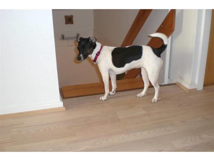 {{currentPhoto.altText}} billede {{currentPhoto.number}}