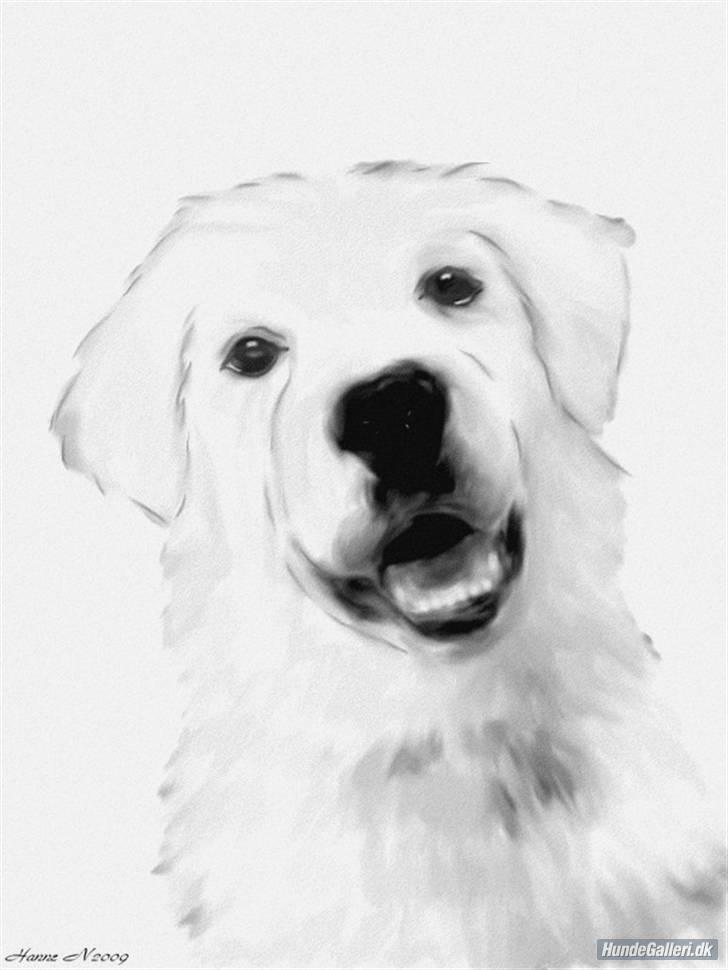Simba-kunst <3 billede 13