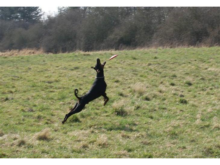 {{currentPhoto.altText}} billede {{currentPhoto.number}}