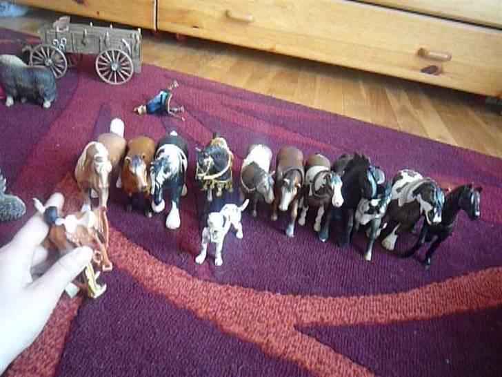 Mine søde dyr - Lidt af mine schleich i kan også se to videoer med dem billede 20