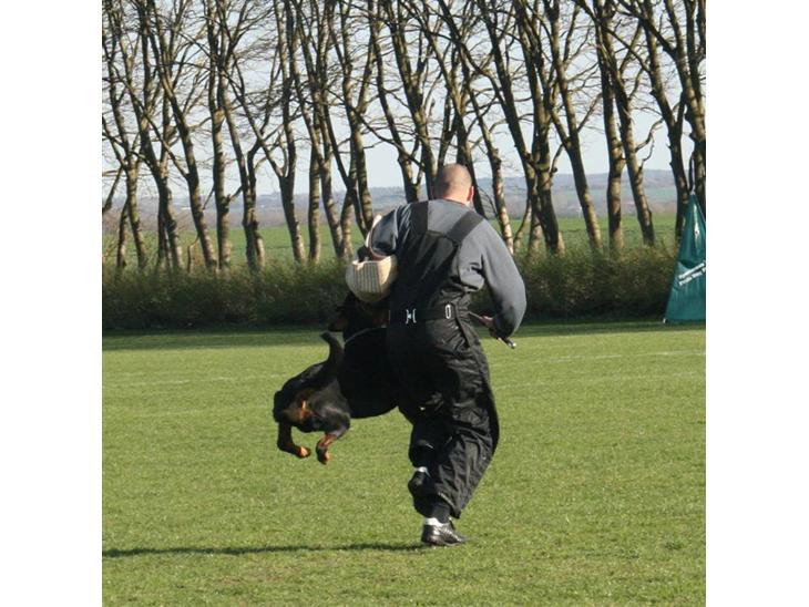 {{currentPhoto.altText}} billede {{currentPhoto.number}}