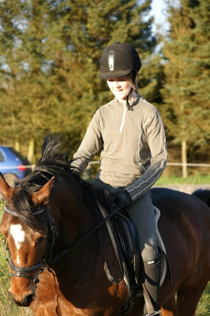 Verdens smukkeste pony ! <´3  billede 12