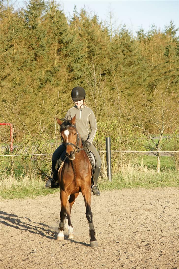 Verdens smukkeste pony ! <´3  billede 13