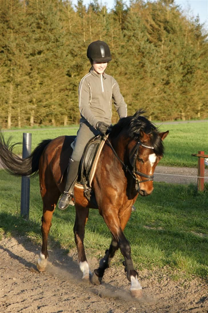 Verdens smukkeste pony ! <´3  billede 14