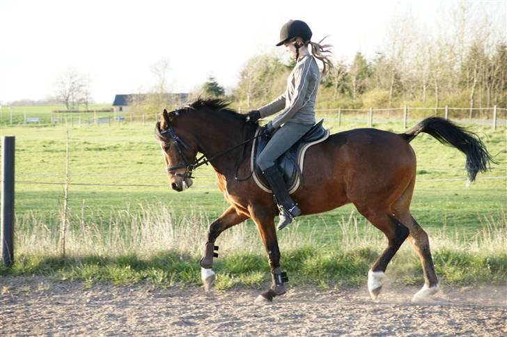 Verdens smukkeste pony ! <´3  billede 17