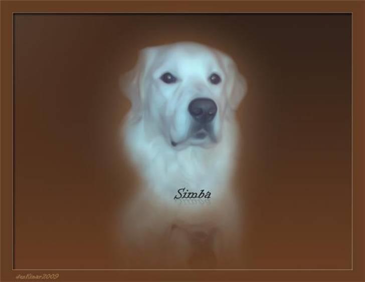 Simba-kunst <3 billede 17