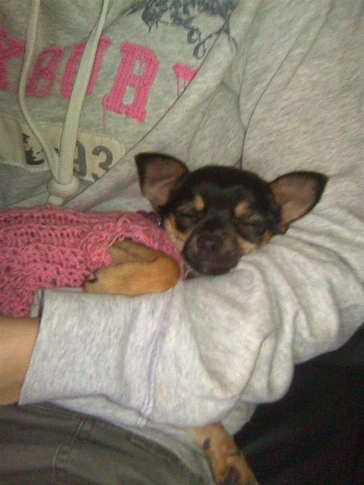 Òdessa piqen <3 - Òdessa putter hos sin "moar" <3 Love Ya billede 2