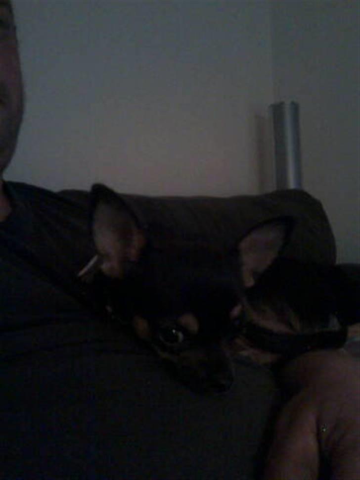 Òdessa piqen <3 billede 3