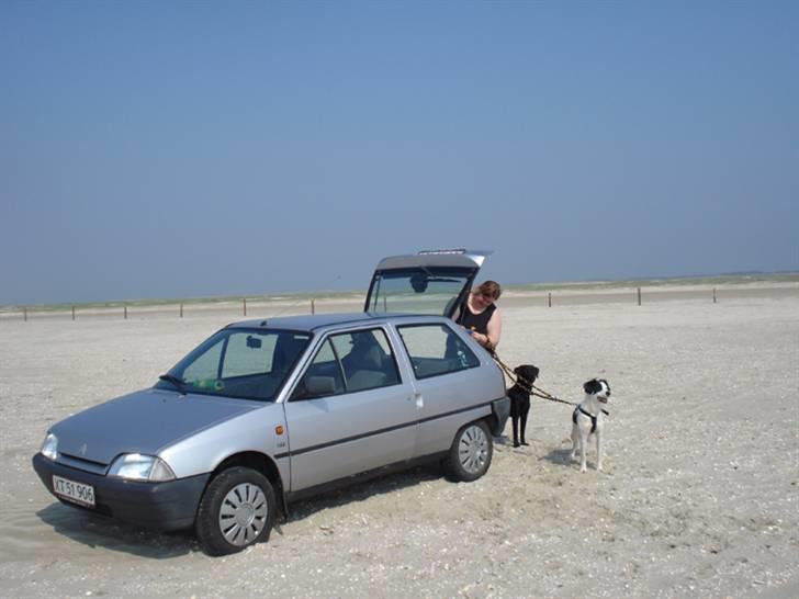 Rømø. - Uhhhh AL det strand. billede 1