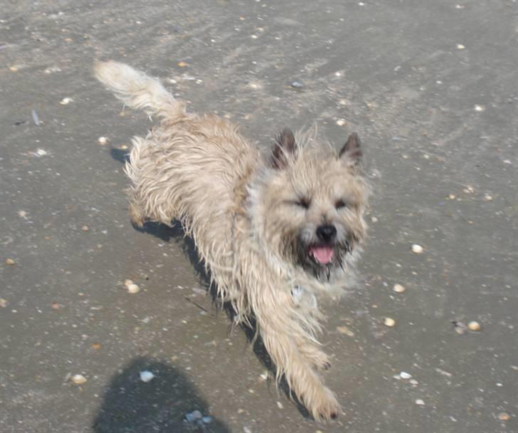 Rømø. - Smiler over hele 5'eren :D billede 28