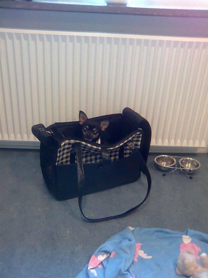 Òdessa piqen <3 - Odessa piqen med sin "moar" på job ;D 2 hyqqeliqe daqe blandt dejlige mennesker <3 billede 1