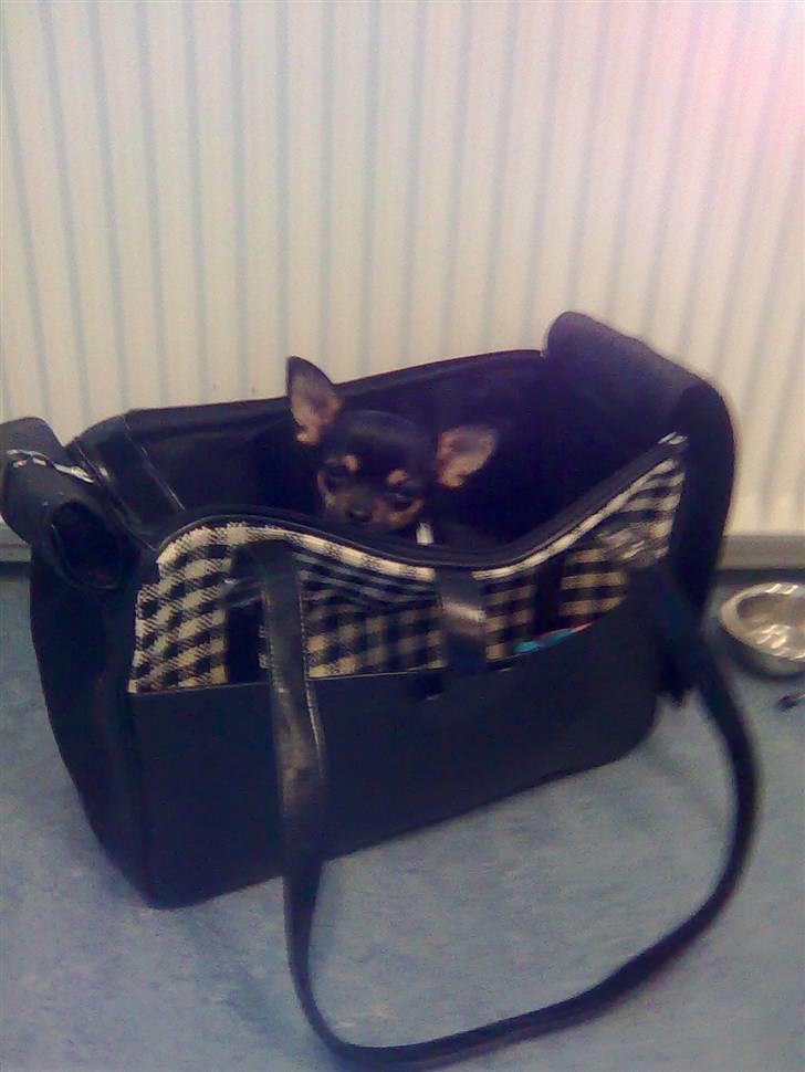 Òdessa piqen <3 - Odessa piqen med sin "moar" på job ;D 2 hyqqeliqe daqe blandt dejlige mennesker <3 billede 9