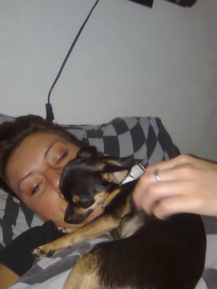 Òdessa piqen <3 - Òdessa og miiq putter <3 billede 10