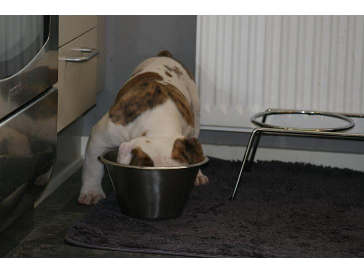 {{currentPhoto.altText}} billede {{currentPhoto.number}}