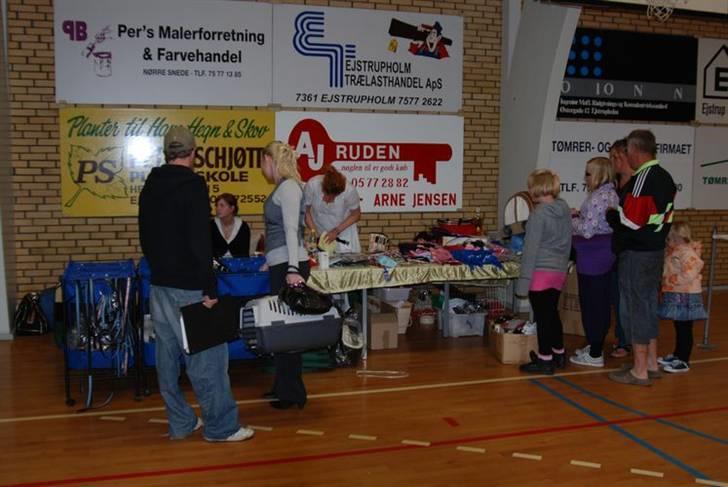 DDH udstilling D17/5-09 - Ingespetshop billede 7