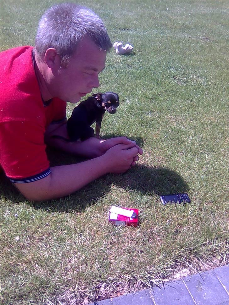 Òdessa piqen <3 billede 20