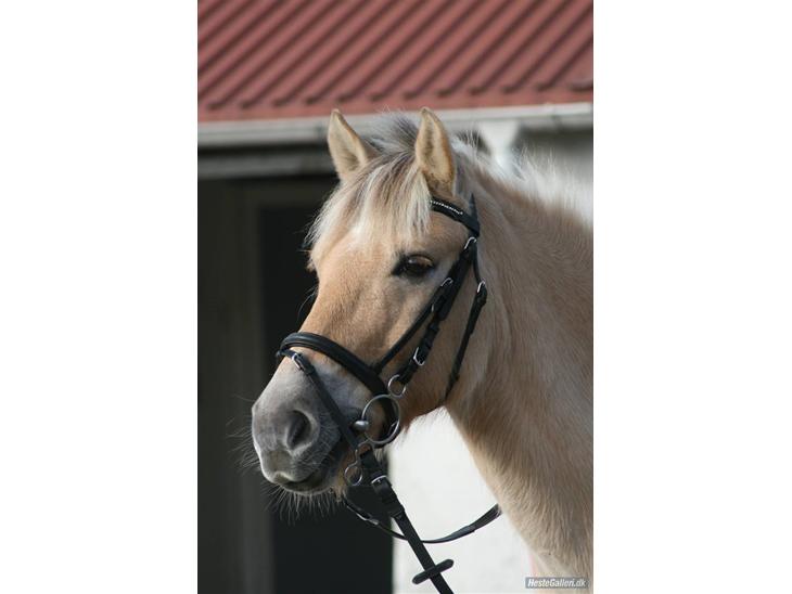 {{currentPhoto.altText}} billede {{currentPhoto.number}}