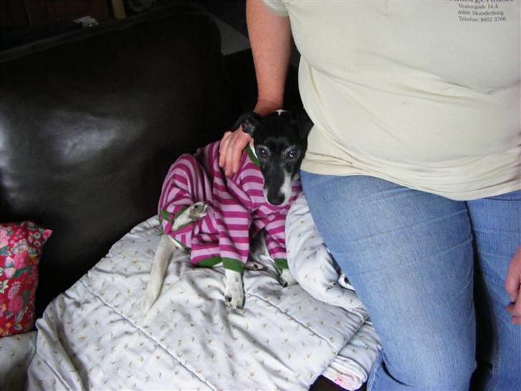 {{currentPhoto.altText}} billede {{currentPhoto.number}}