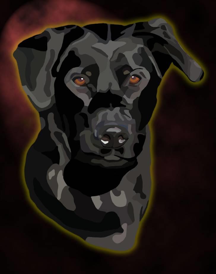 Tegninger og redigerede billeder af egne hunde billede 1