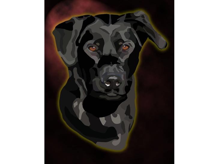 {{currentPhoto.altText}} billede {{currentPhoto.number}}