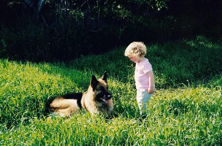 Goya - Dæk! (virker altid på en hund der ligger ned) billede 14