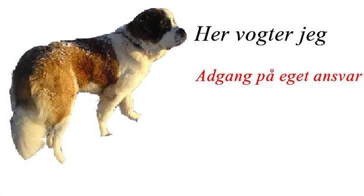 Skildte billede 1