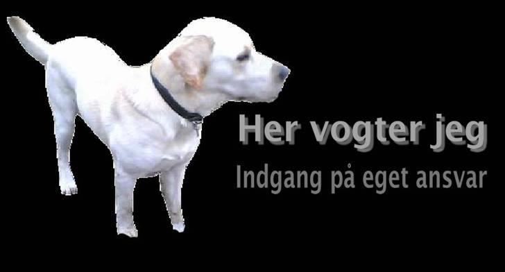 Skildte billede 2