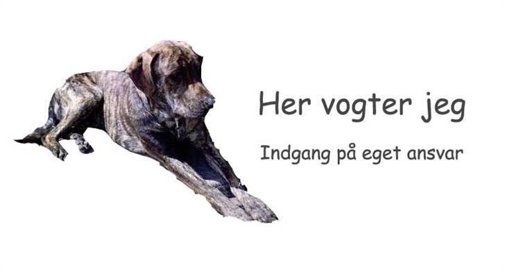 Skildte billede 3