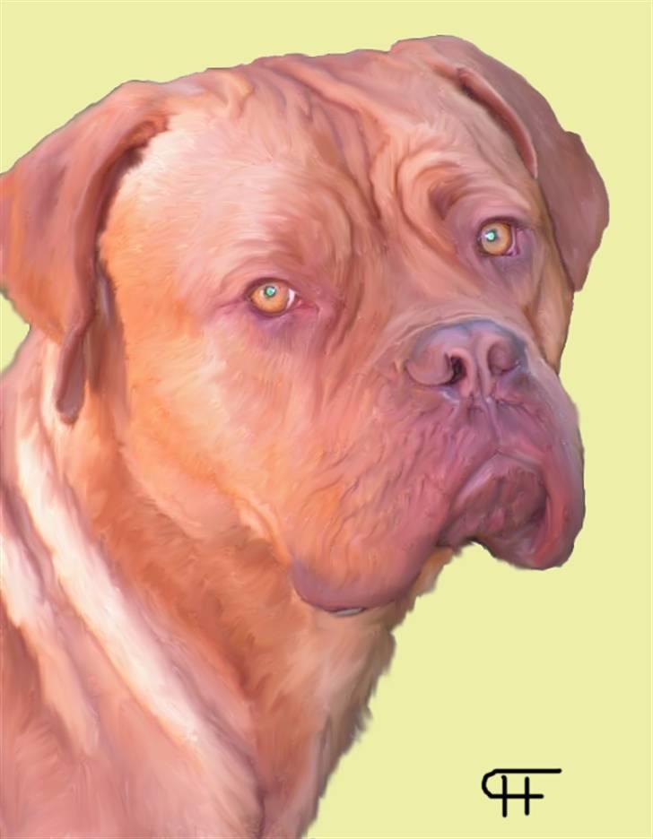 Tegninger af andres hunde - Blanding af racer Janus. billede 274