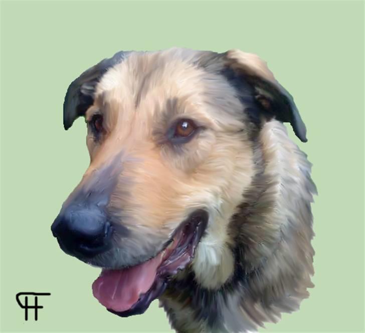 Tegninger af andres hunde - Blanding af racer Rex. billede 276