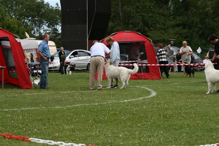 KHKG Udstilling billede 4