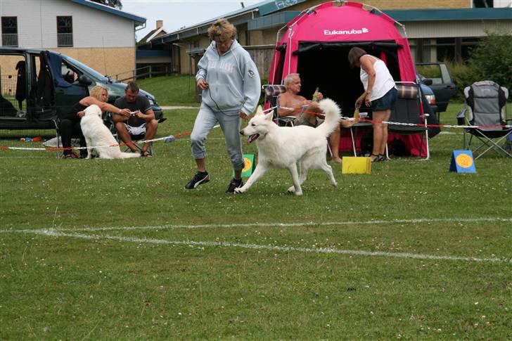 KHKG Udstilling billede 6