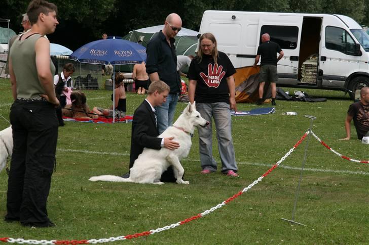 KHKG Udstilling billede 14