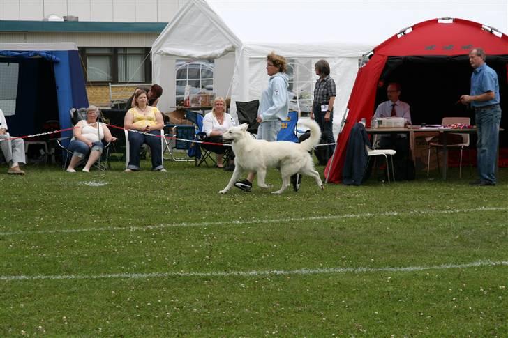 KHKG Udstilling billede 18