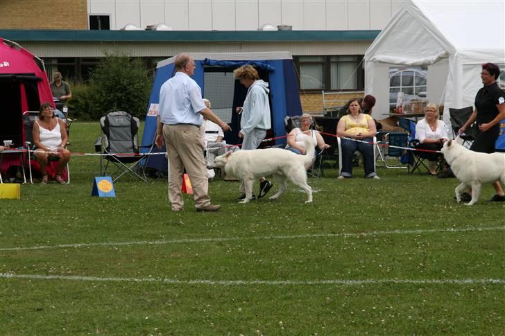 KHKG Udstilling billede 19