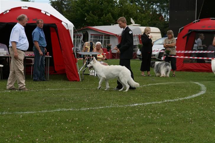 KHKG Udstilling billede 20