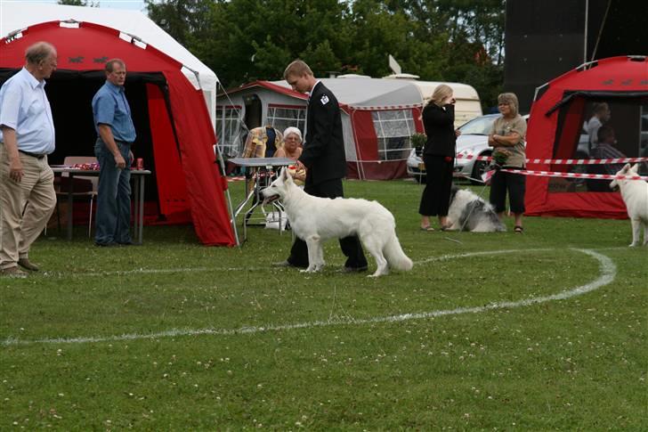 KHKG Udstilling billede 21