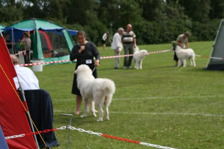 KHKG Udstilling billede 27