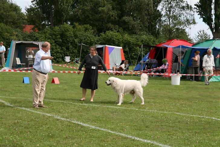 KHKG Udstilling billede 28