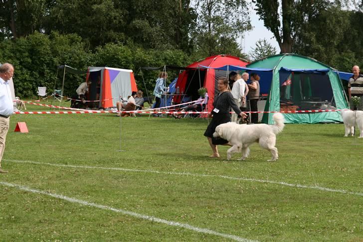 KHKG Udstilling billede 29
