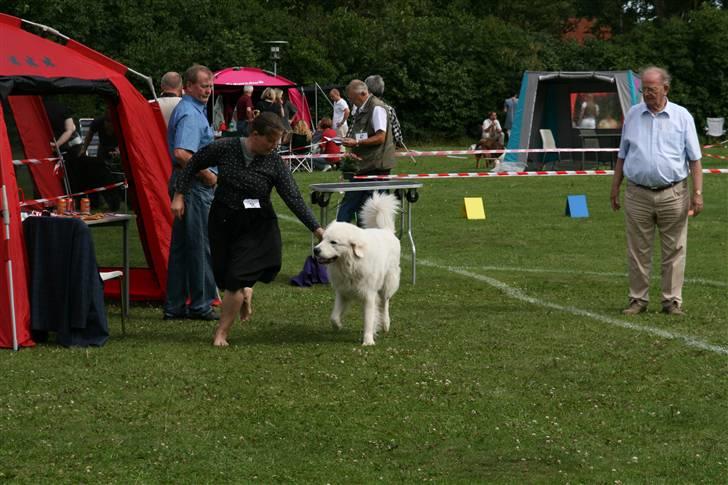 KHKG Udstilling billede 30