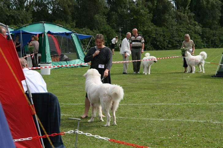 KHKG Udstilling billede 34
